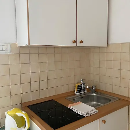 Apartment Igor