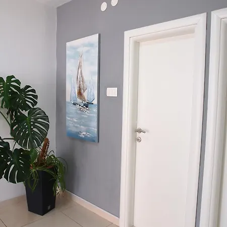 Igor 马卡尔斯卡